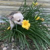 Winnie - Photo 2