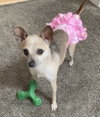 Winnie - Photo 3