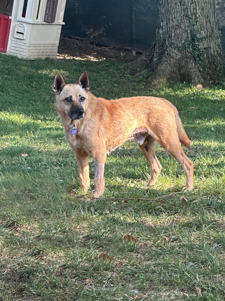 Leo
