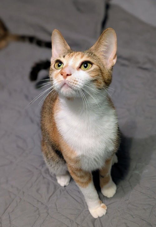 Winnie