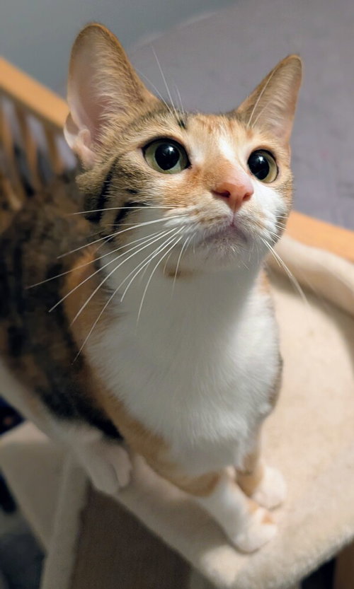 Winnie photo 2