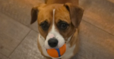 Tucker