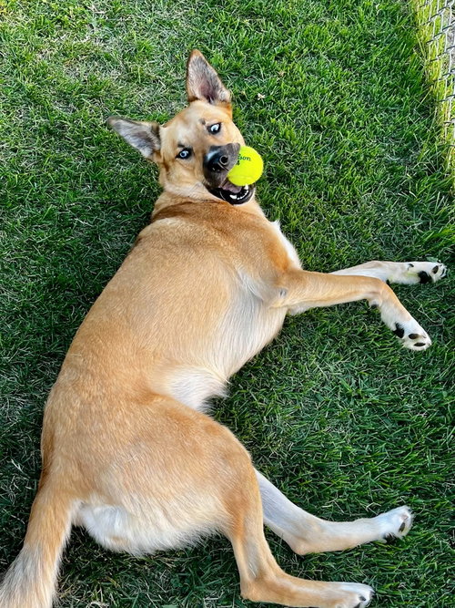 Winnie
