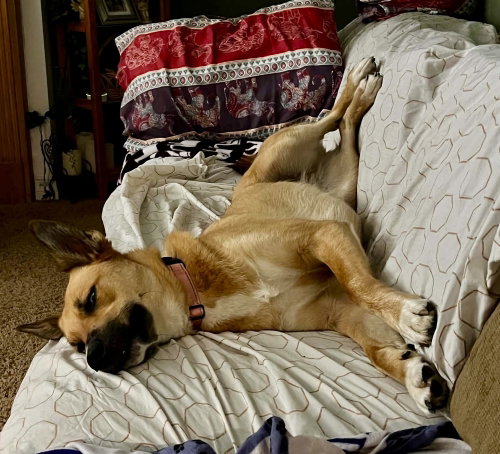 Winnie photo 3