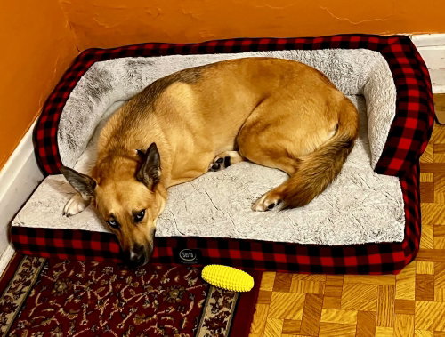 Winnie photo 4