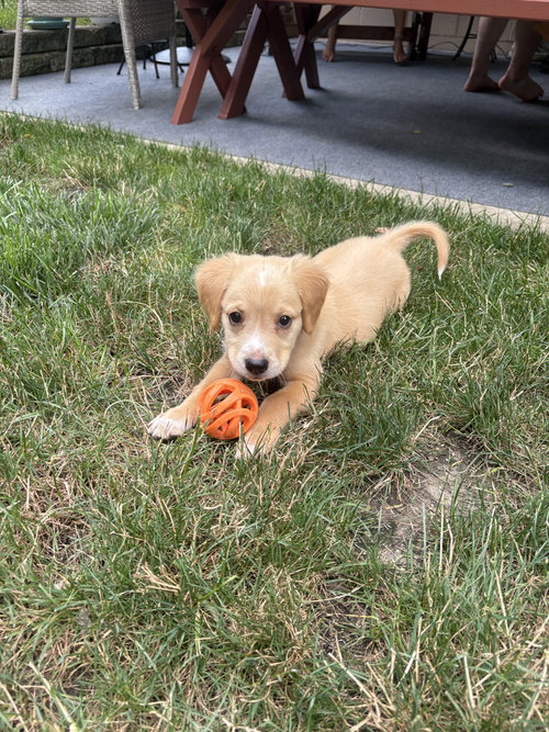 Heinz photo 2