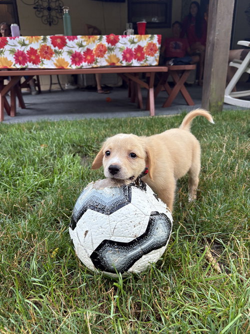 Heinz photo 4