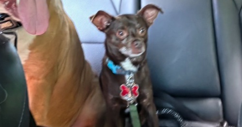 Boosie