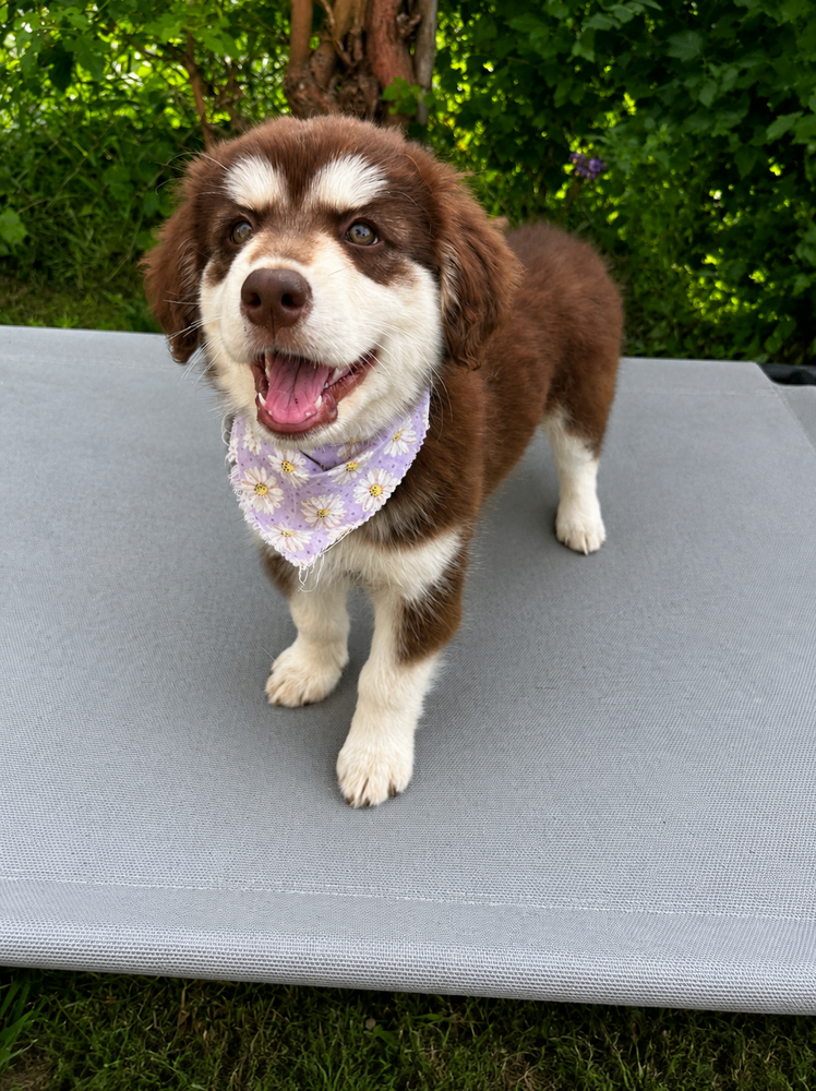 Skye