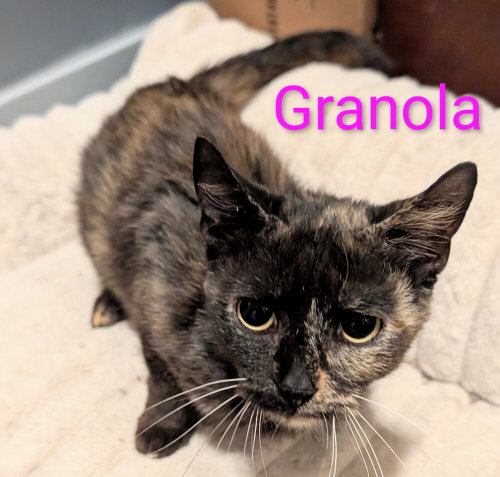 Photo 4 of Granola