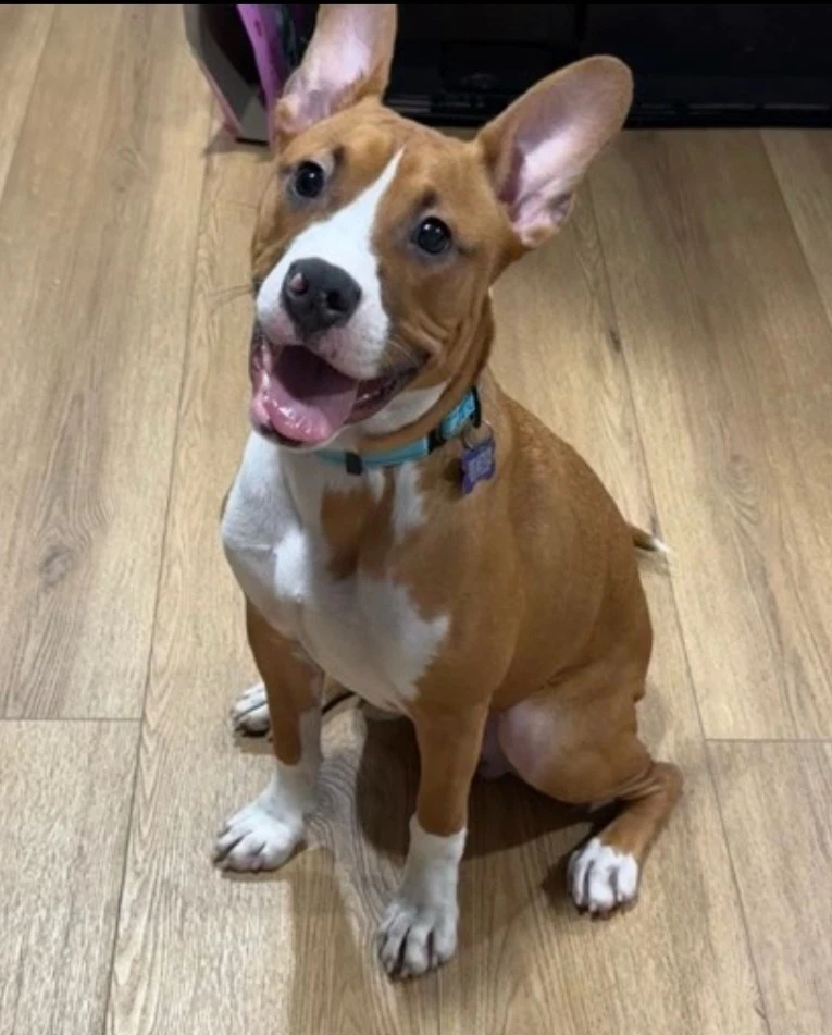 Zeke