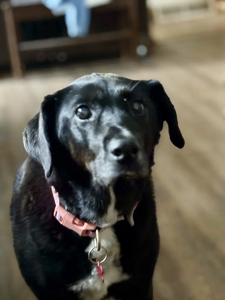 Katie image 2