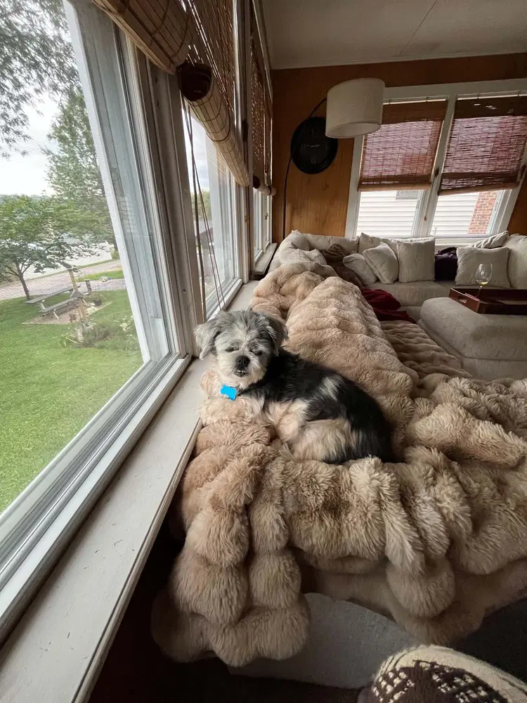 Mitzi image 4