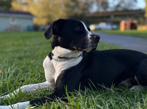 Jax