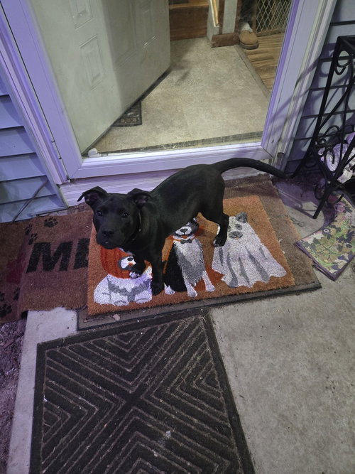 Photo 2 of Pepper