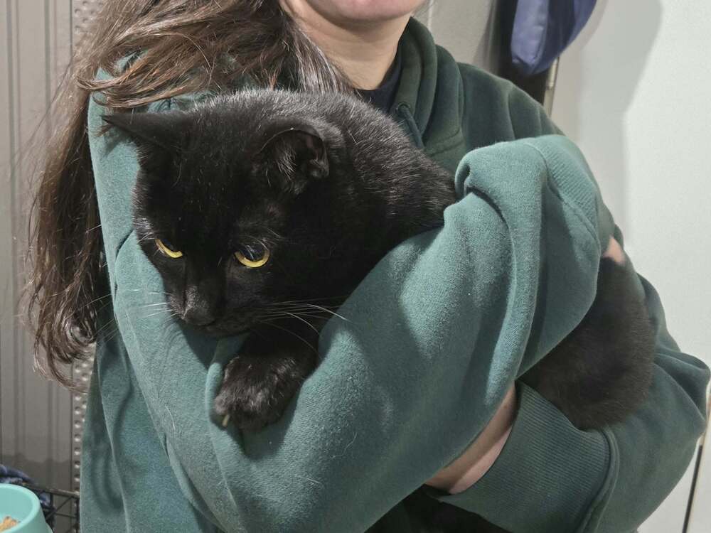 Tiny
