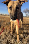 Priscilla - Photo 6