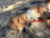 Hooba - Photo 5