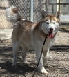 Sakari - Photo 1