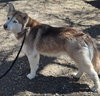 Sakari - Photo 3