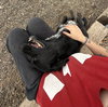 Ziggy - Photo 2
