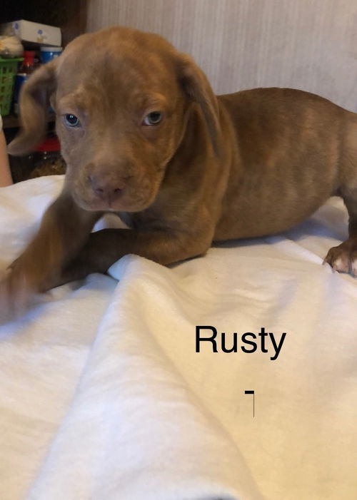 Rusty