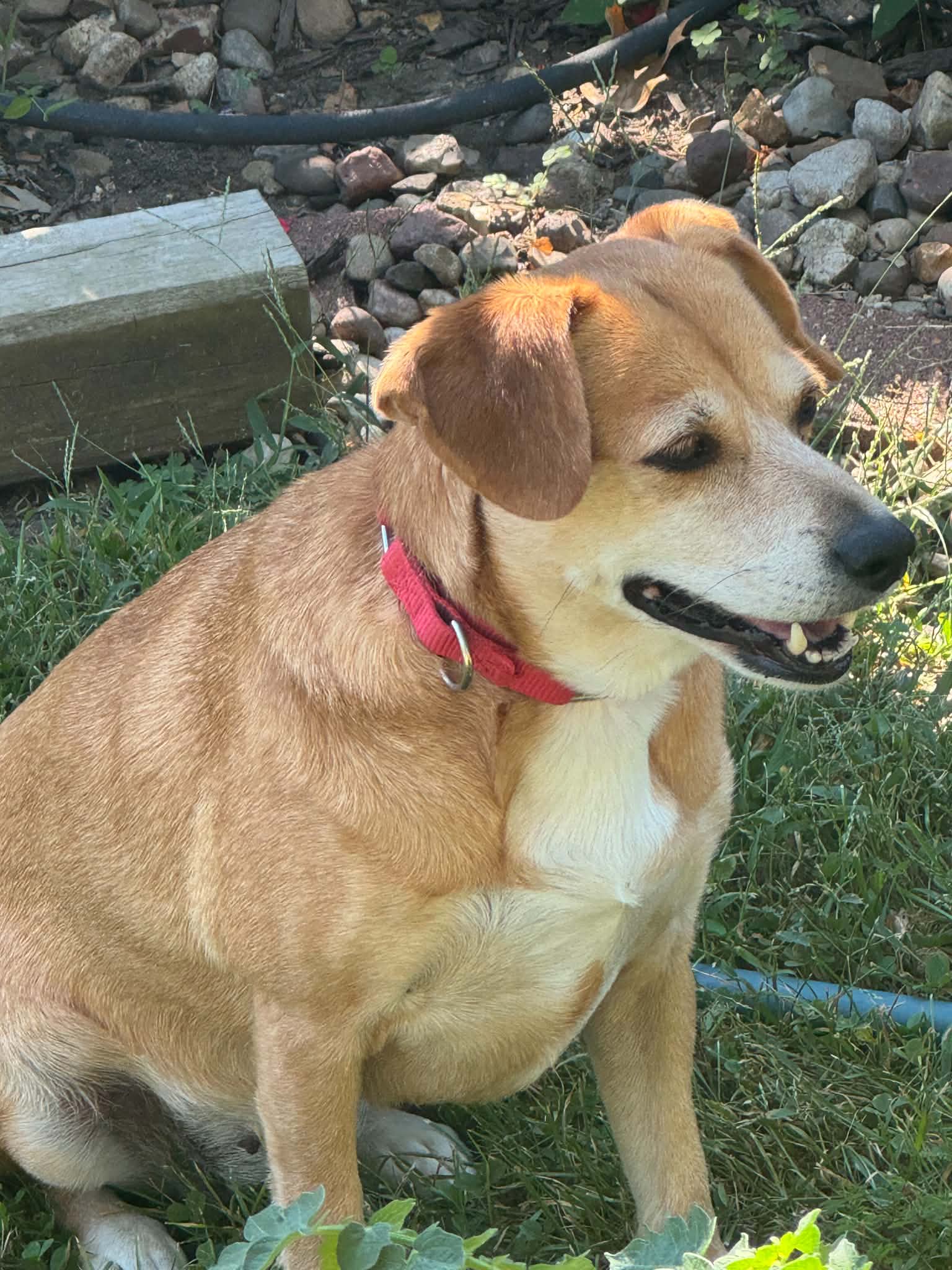 Bailey