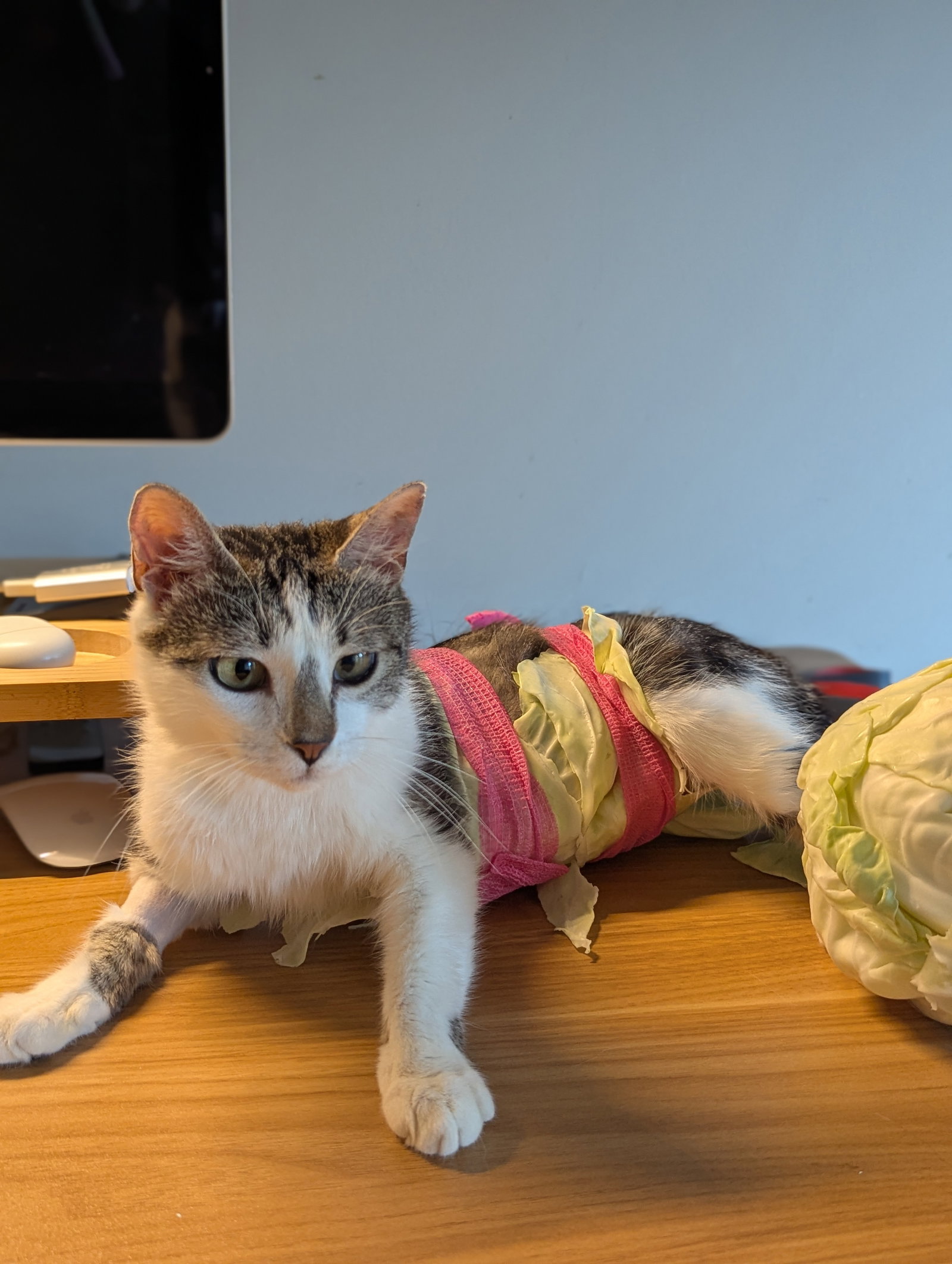 Buttercup (Pure Sugar), photo 8