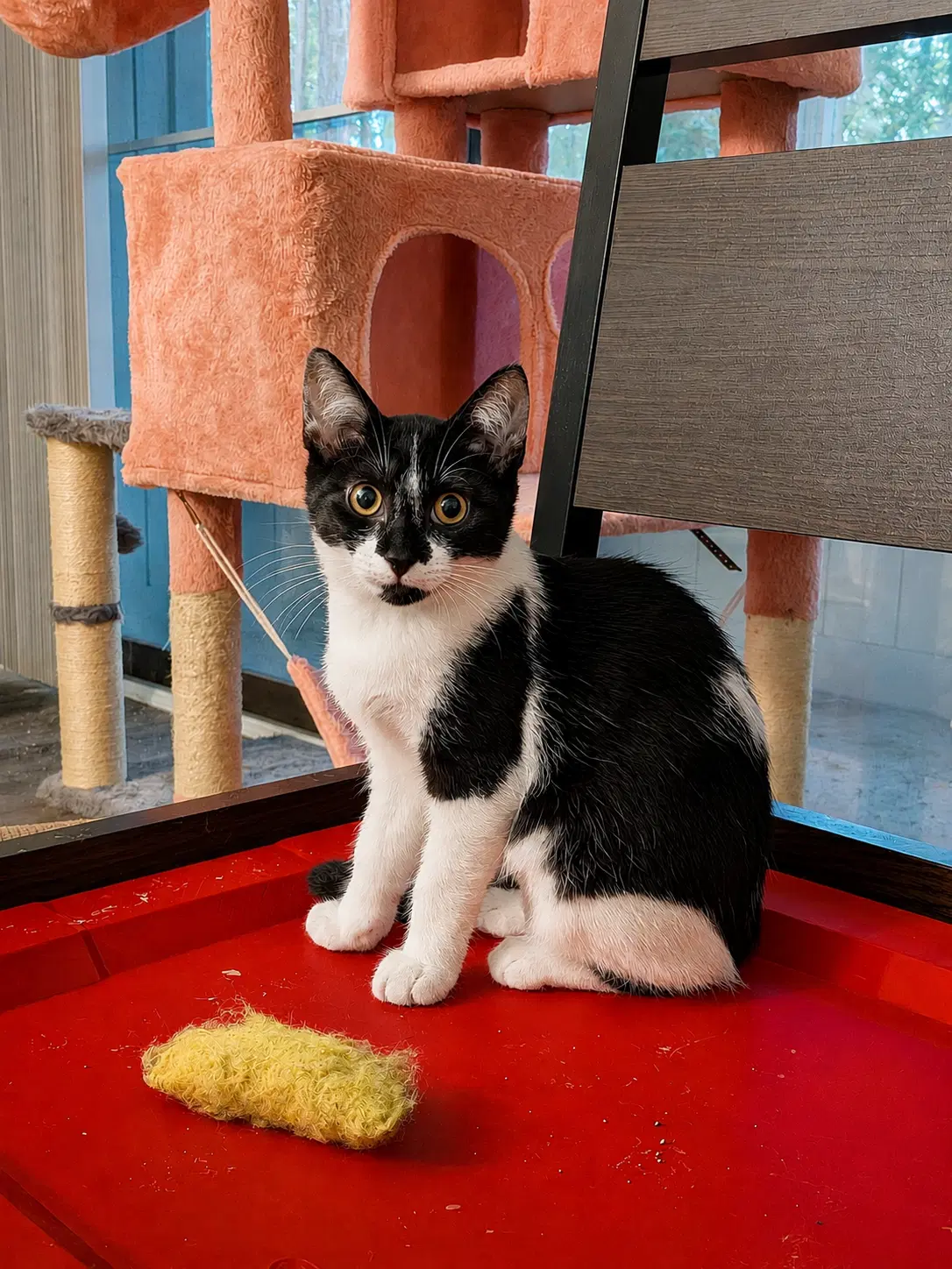 Oatmeal The Breakfast Club image 4