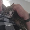 Paris - Photo 3