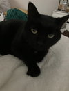 Max - Photo 3