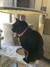 Sadie - Photo 3