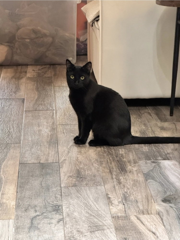 Binx