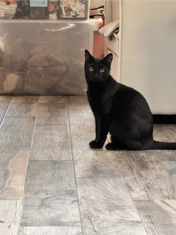Binx