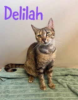 Delilah