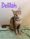Delilah - Photo 2