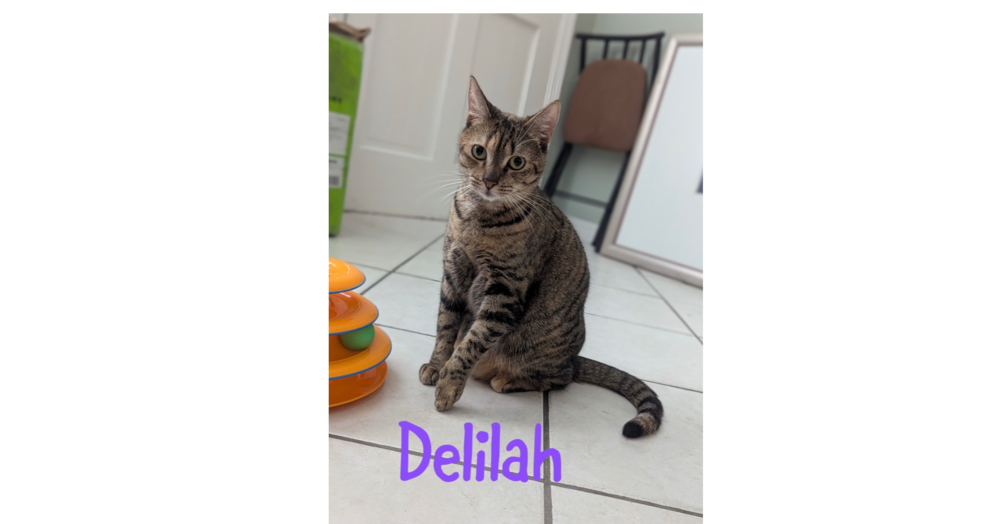 Delilah