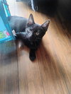 Leroy Brown - Photo 1