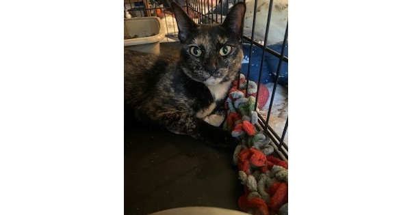 Fiona Image