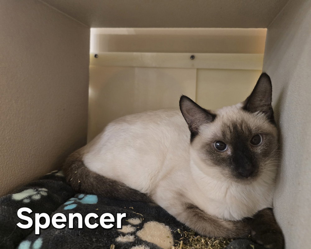 Spencer