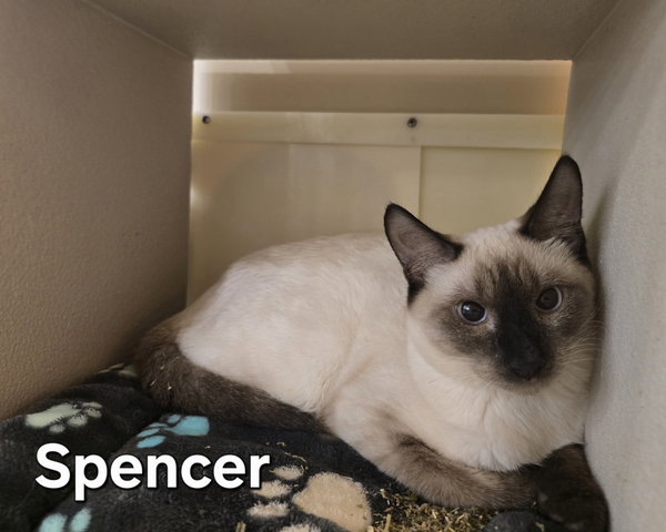 Spencer