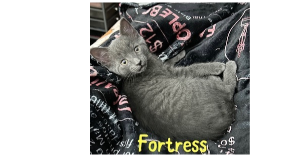 Fortress