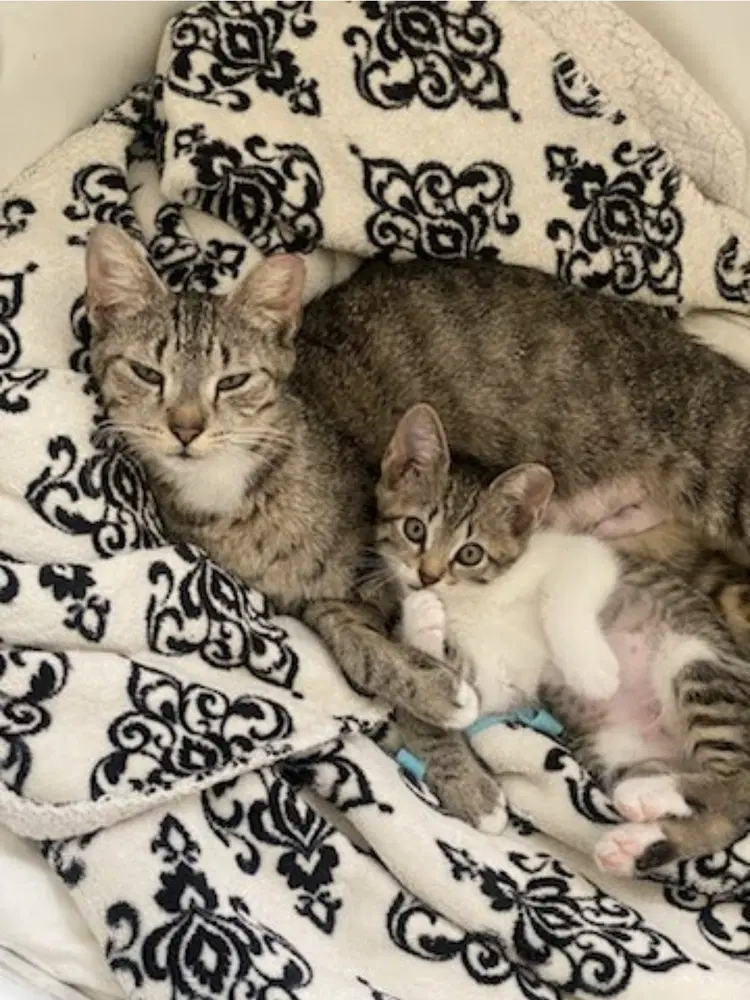 Baby image 3