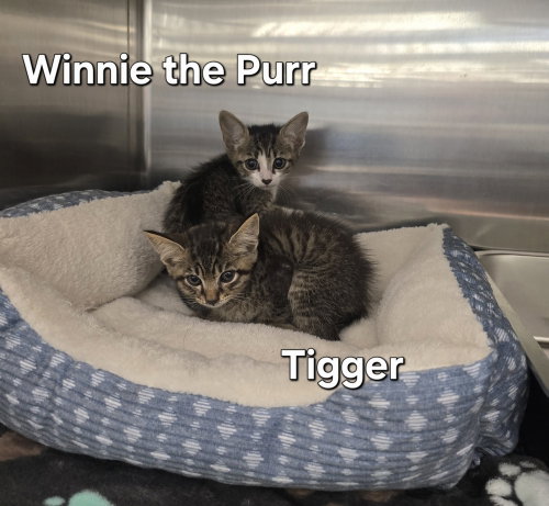Tigger