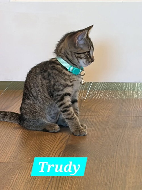 Trudy photo 2
