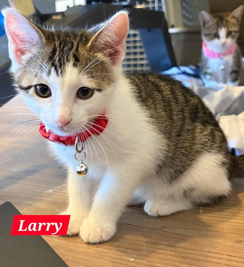 Larry