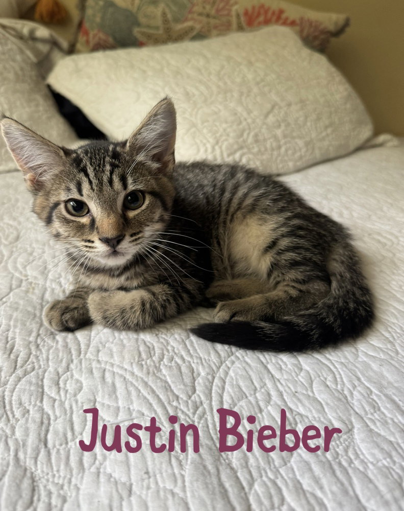Justin Bieber