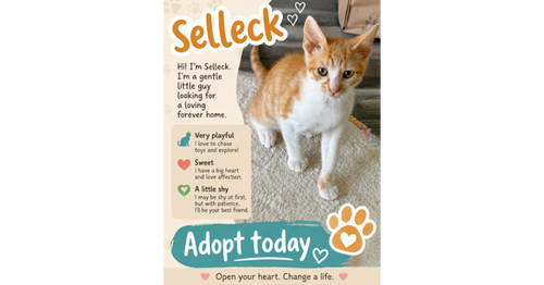 Selleck