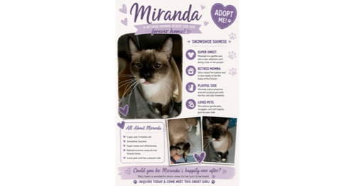 Miranda