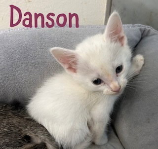 Danson photo 2